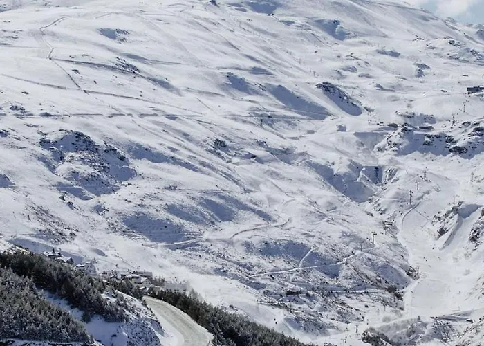 House 塞拉内华达